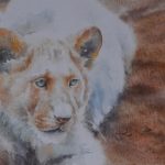 Lionceau blanc- Sylvie Genty