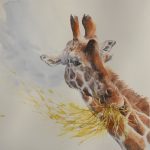 Une petite faim - Sylvie Genty