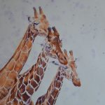 Méli-mélo - Sylvie Genty