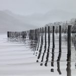 Janie Amadori -Au Calme