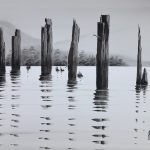 Janie Amadori -L'Ancienne Jetée