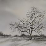 Christine Secher - Le vieux noyer