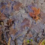 Les Feuilles noyées 1